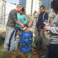 סדנאת גינון ורטיקלי בגינת נוה שאנן