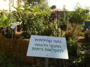 מתקני הדגמה לחקלאות ביתית שנבנו בשיתוף עם פעילי הגינה הקהילתית במוזיאון הטבע בירושלים