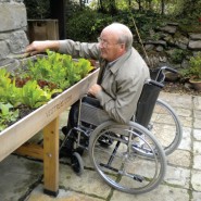 אדנית מוגבהת מאפשרת לאדם על כיסא גלגלים לעבוד בנוחות יחסית על הערוגה